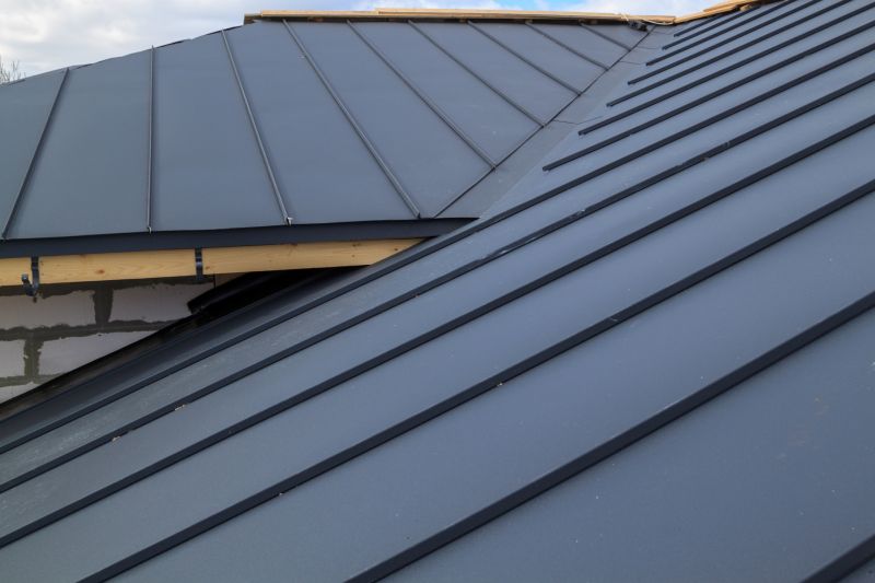 Common Signs You Need Professional Metal Roof Repair