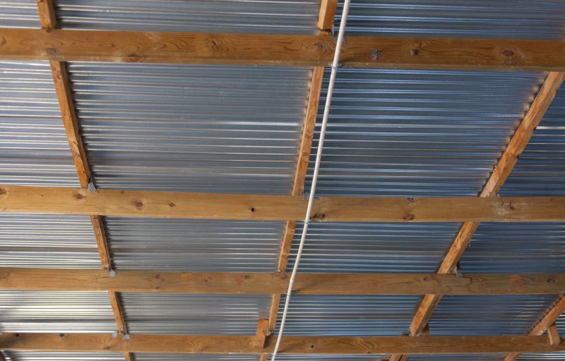 Fall Tin Roof Repair