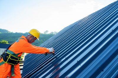 Metal Roof Specialists
